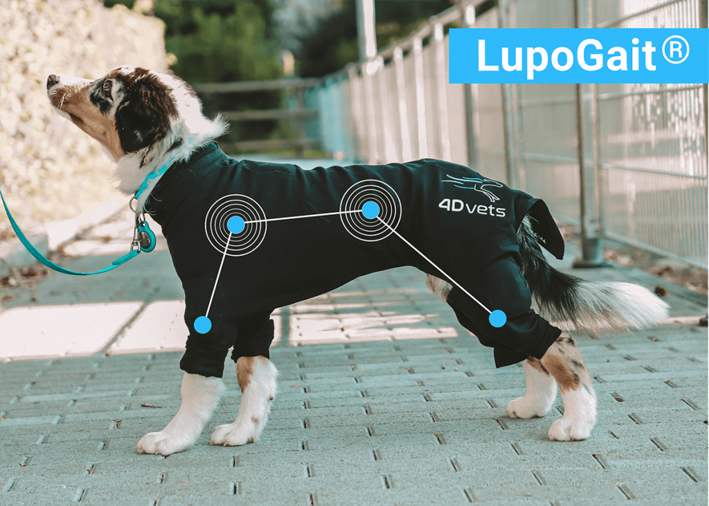 LupoGait - Alternativdiagnostik für die Ganganalyse bei Hunden 
